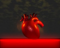 Širdies aritmijos rūšys