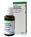 Katalogas > Homeopatinis egzemos gydymas